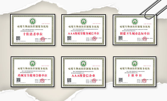 多年杀虫 行业经验丰富